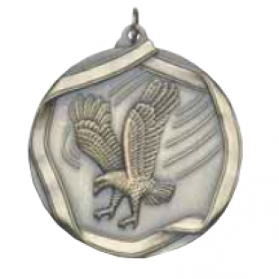 Eagle 2-1/4" Die Cast Medal